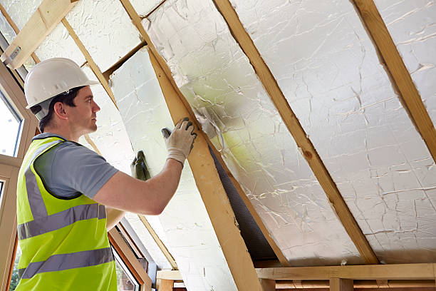 Best Insulation Maintenance and Repair in Wilberforce, OH