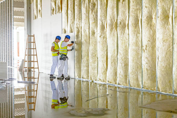 Best Residential Insulation in Wilberforce, OH